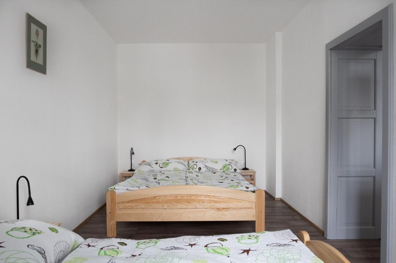 Apartmany16 Olesnice V Orlickych Horach エクステリア 写真