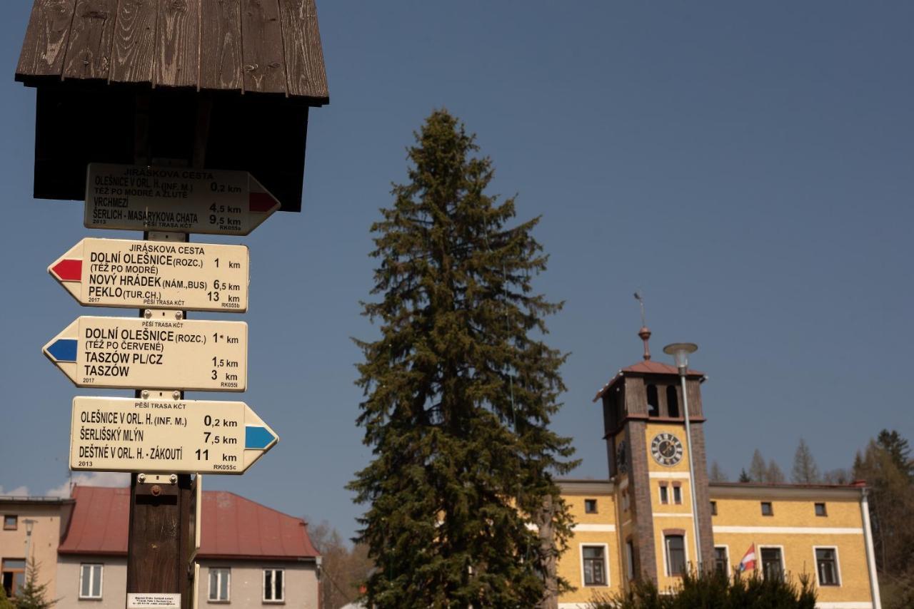 Apartmany16 Olesnice V Orlickych Horach エクステリア 写真