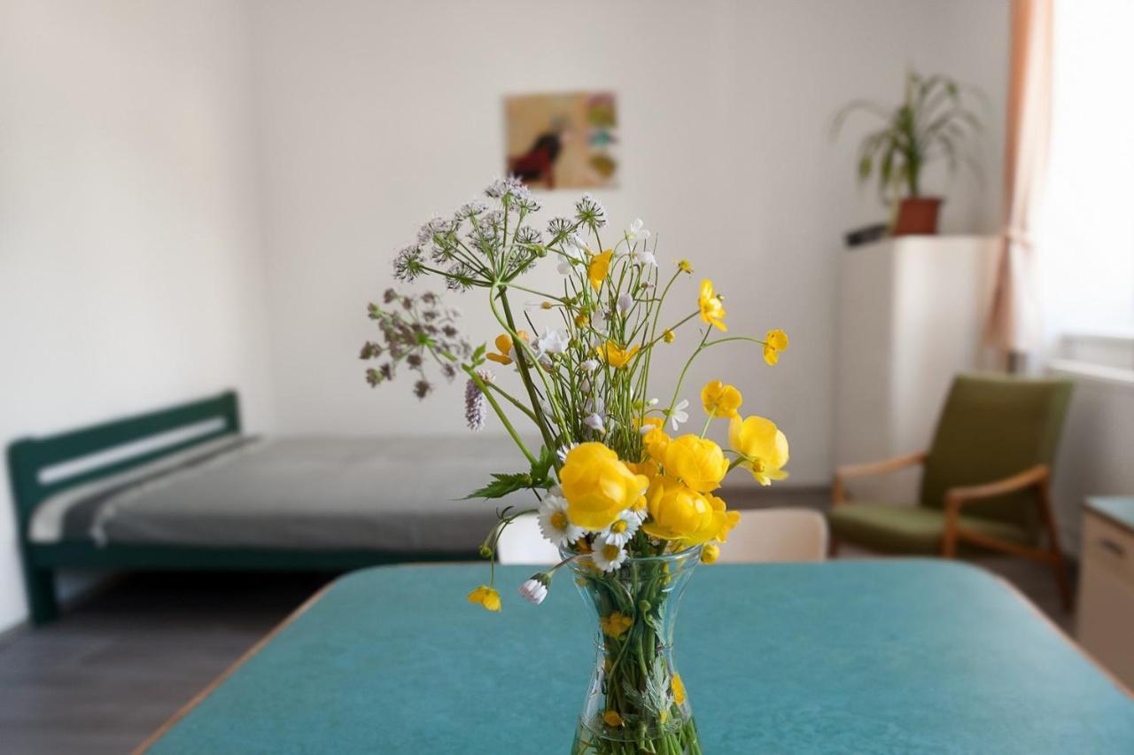 Apartmany16 Olesnice V Orlickych Horach エクステリア 写真