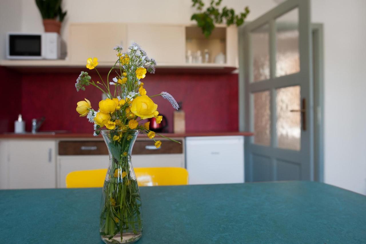 Apartmany16 Olesnice V Orlickych Horach エクステリア 写真