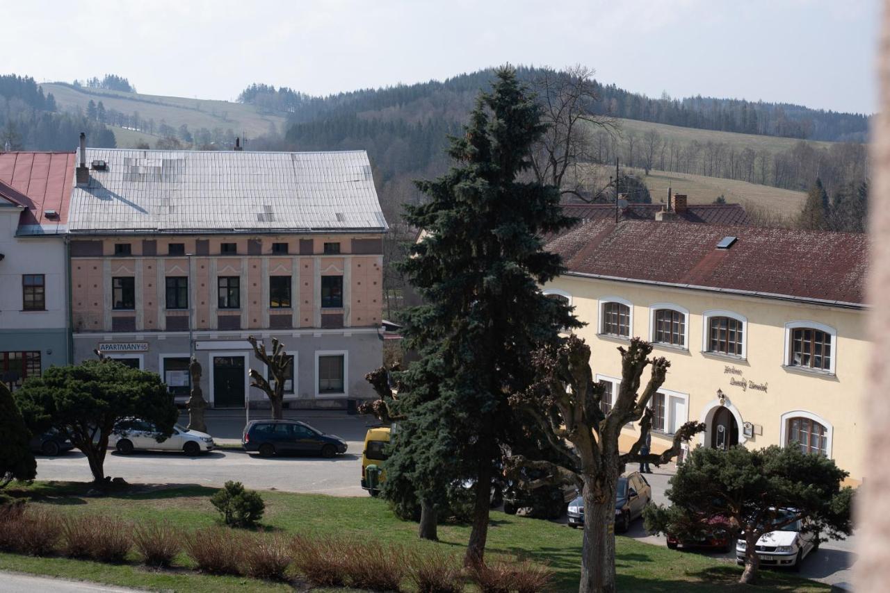 Apartmany16 Olesnice V Orlickych Horach エクステリア 写真